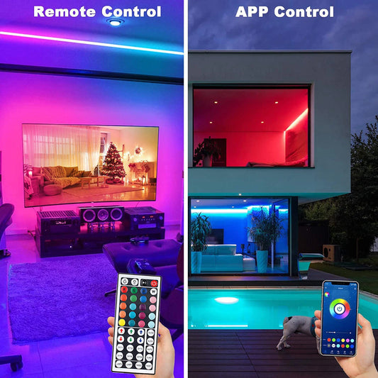 LED Lights